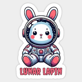Astronomy rabbit Sticker